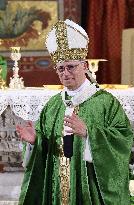 Pope Leo XIV Leads Mass in Albano - Italy