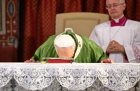 Pope Leo XIV Leads Mass in Albano - Italy