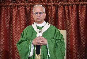 Pope Leo XIV Leads Mass in Albano - Italy
