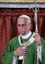 Pope Leo XIV Leads Mass in Albano - Italy