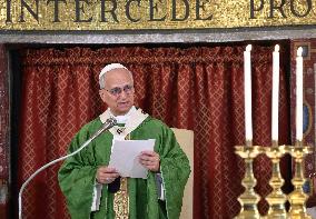 Pope Leo XIV Leads Mass in Albano - Italy