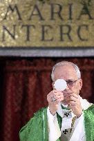 Pope Leo XIV Leads Mass in Albano - Italy