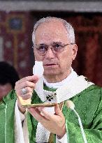 Pope Leo XIV Leads Mass in Albano - Italy