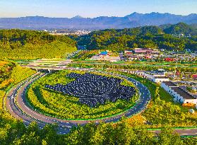 Chins Photovoltaic Industry