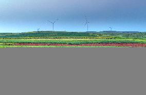 Colorful Farmland in Hohhot