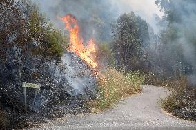 Larouco Fire Crosses Sil River into Lugo - Spain