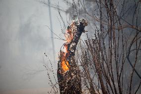 Larouco Fire Crosses Sil River into Lugo - Spain