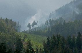 Rain and Smoke from South of Port Alberni - Canada