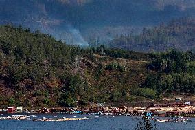 Rain and Smoke from South of Port Alberni - Canada