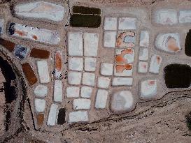 Salt Harvest Declines Sharply - Iraq
