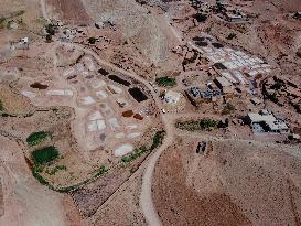 Salt Harvest Declines Sharply - Iraq