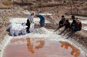 Salt Harvest Declines Sharply - Iraq