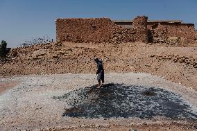 Salt Harvest Declines Sharply - Iraq