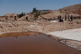 Salt Harvest Declines Sharply - Iraq