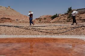 Salt Harvest Declines Sharply - Iraq