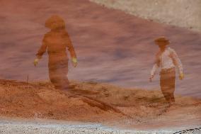 Salt Harvest Declines Sharply - Iraq