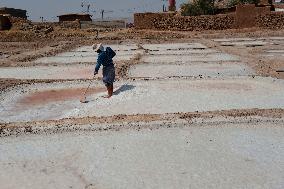 Salt Harvest Declines Sharply - Iraq