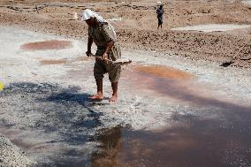 Salt Harvest Declines Sharply - Iraq