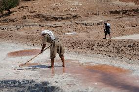 Salt Harvest Declines Sharply - Iraq