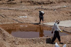Salt Harvest Declines Sharply - Iraq
