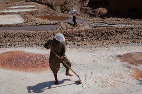 Salt Harvest Declines Sharply - Iraq