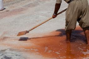 Salt Harvest Declines Sharply - Iraq