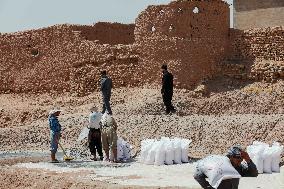 Salt Harvest Declines Sharply - Iraq