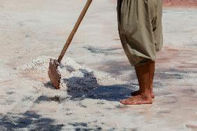 Salt Harvest Declines Sharply - Iraq