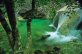 FRANCE. CORSE-DU-SUD (2A) BAVELLA MASSIF. THE NATURAL POOLS OF PURCARACCIA ARE AMONG THE MOST BEAUTIFUL ON THE ISLAND. FORMED BY