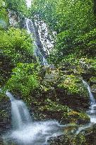 Illustration - Global Warming - France