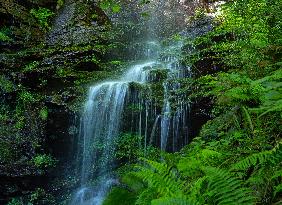 Illustration - Global Warming - France