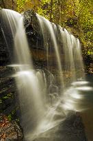 Illustration - Climate Change