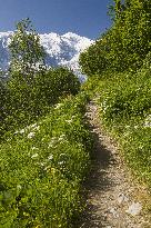 Illustration - Global Warming - France