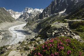 Illustration - Global Warming - France