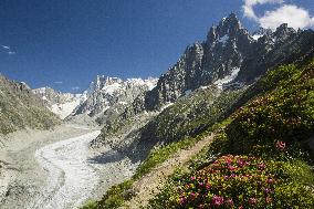 Illustration - Global Warming - France