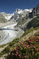 Illustration - Global Warming - France