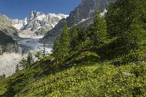 Illustration - Global Warming - France