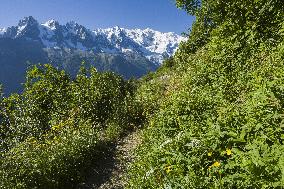 Illustration - Global Warming - France