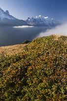 Illustration - Global Warming - France