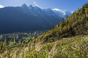 Illustration - Global Warming - France