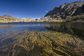 Illustration - Global Warming - France