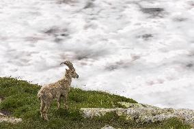 Illustration - Global Warming - France