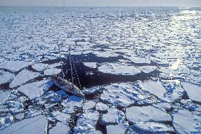 Erebus Expedition