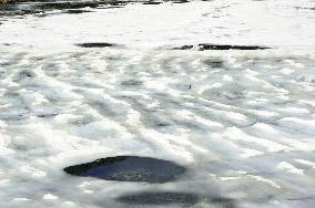 Illustration - Global Warming - France