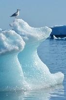 Illustration - Climate Change