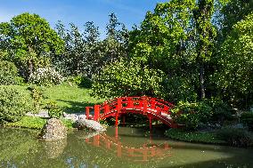 Illustration - Toulouse