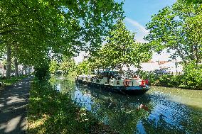 Illustration - Toulouse