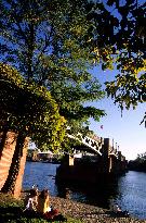 Illustration - Toulouse