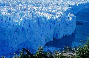 Illustration - Patagonie