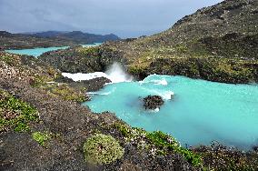 Illustration - Patagonie